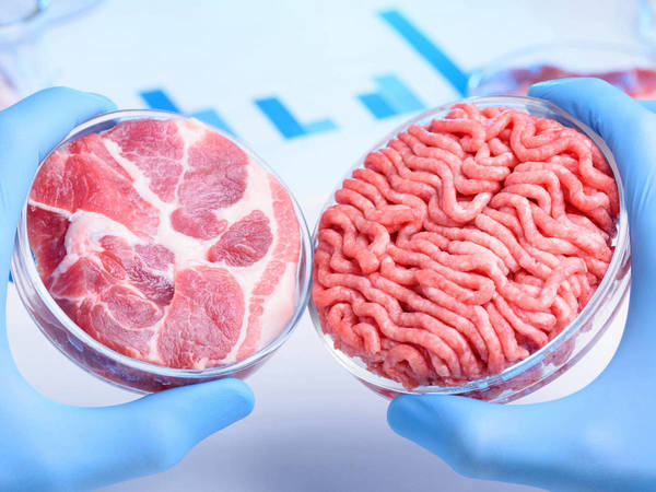 la carne artificial que cambiará el futuro